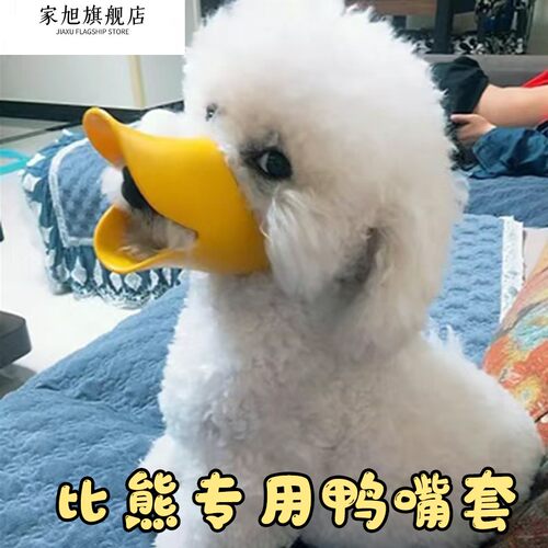 新疆包邮比熊专用鸭子嘴
