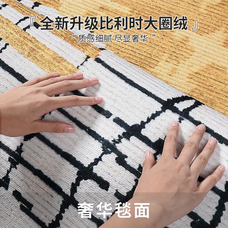 地毯客厅2024新款轻奢高级沙发地垫天津免洗可擦家用地毯卧室加厚