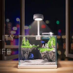 尼泊洱小鱼缸客厅小型桌面迷你玻璃水族箱景观造景斗鱼生态金鱼缸