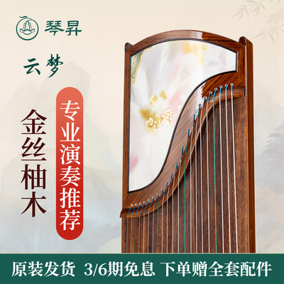 琴昇专业演奏筝推荐兰考一级泡桐音板古筝琴入门精品考级