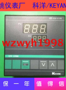 HOPE科洋XW-D900温控仪XW-D900B-H31J01余姚仪表XWD900