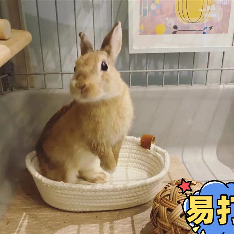 创逸狗狗宠物围栏室内家用笼子小型犬小泰迪狗笼子 猫笼子 兔笼子