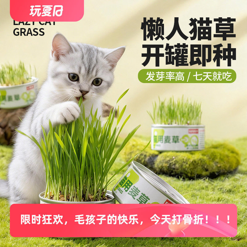 猫草零食罐头懒人轻松种植水培猫草盆栽猫咪可食趣味亲子互动盆景
