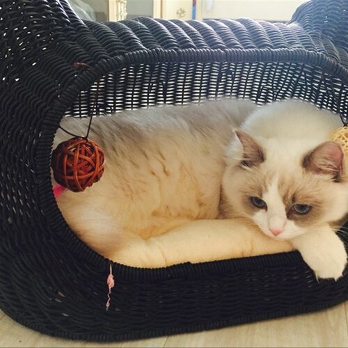 藤编猫窝四季封闭式夏季猫屋猫爬架别墅可拆洗猫笼狗窝猫房子猫牀