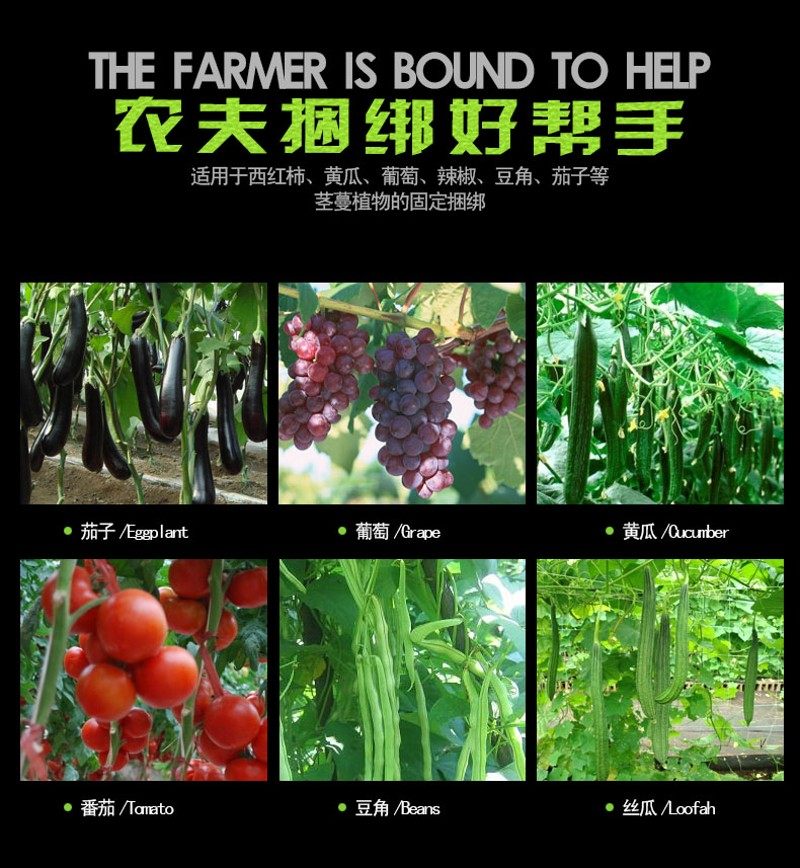 绑黄瓜绑枝机胶带绑枝神器葡萄西红柿绑枝机绑藤绑蔓器捆绑机钉子