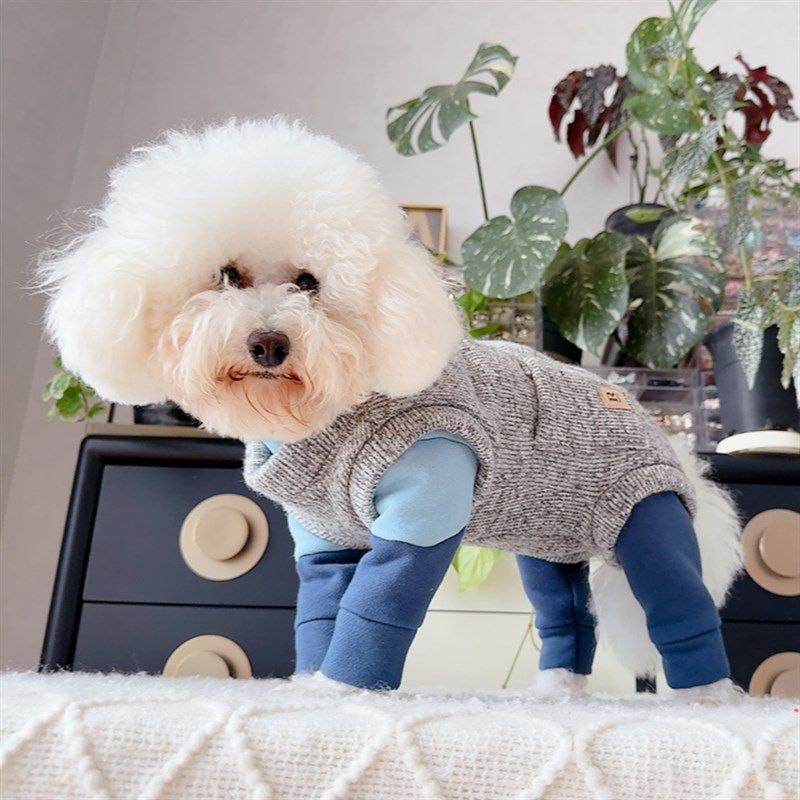 潮查利家狗狗秋冬中厚包肚马甲泰迪比熊博美猫咪犬保暖毛衣背心款