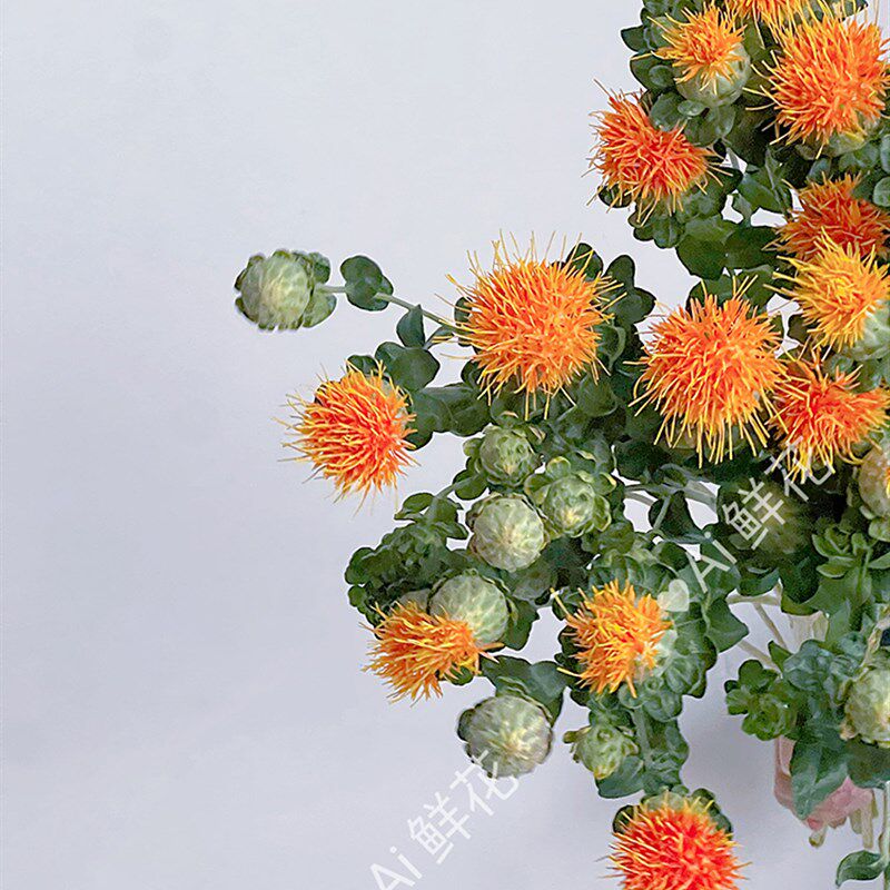 呆萌小可爱橙色菠萝菊鲜花插花水养花期长可做干花家居装饰云南