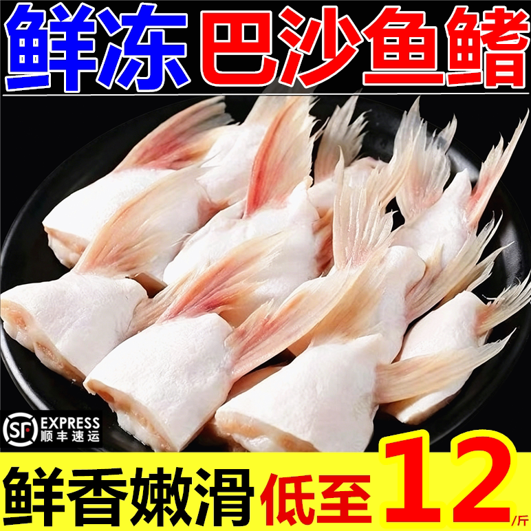 巴沙鱼鳍新鲜鮰鱼鳍鱼腩鱼划水鱼鱼肚鱼下巴肥油鱼翅