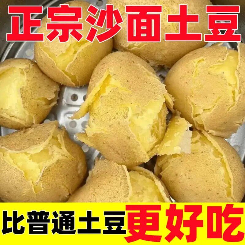 2026年甘肃定西沙面土豆