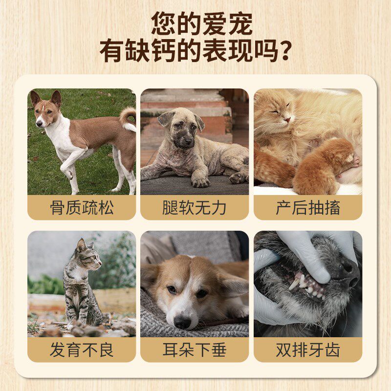 杜力德宠物高能钙粉138g狗狗猫咪孕产后成犬补钙幼犬幼猫通用营养