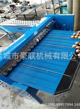 鸡蛋分级机 高效精准分选鸡蛋大小 每小时5400枚产量 光检输送
