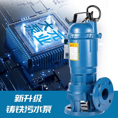 大元污水泵家用吸淤泥抽化粪池污水池抽水泵排涝泵灌溉机自动铸铁