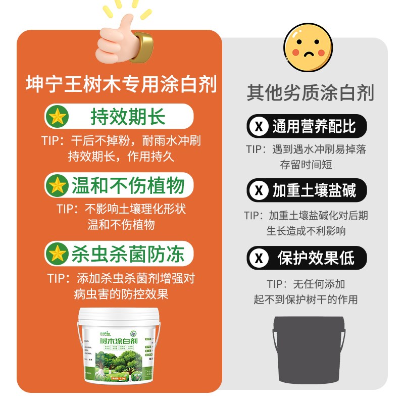 树木果树树干涂白剂防虫防冻大树石灰粉刷树白灰涂树越冬过冬保护