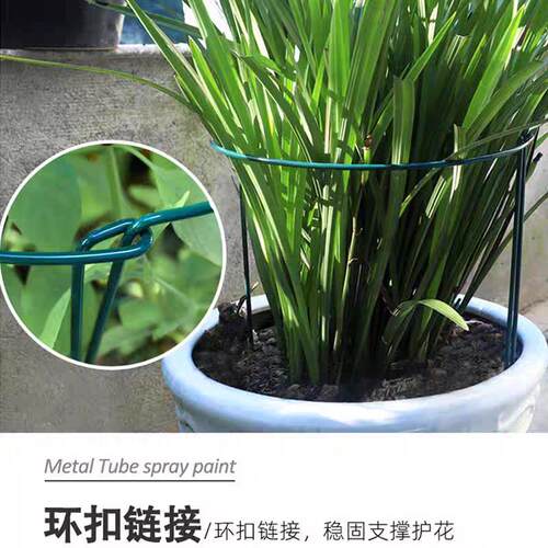 花支撑架龟背竹防倒支撑固定半圆支撑杆铁艺植物花盆架爬藤架