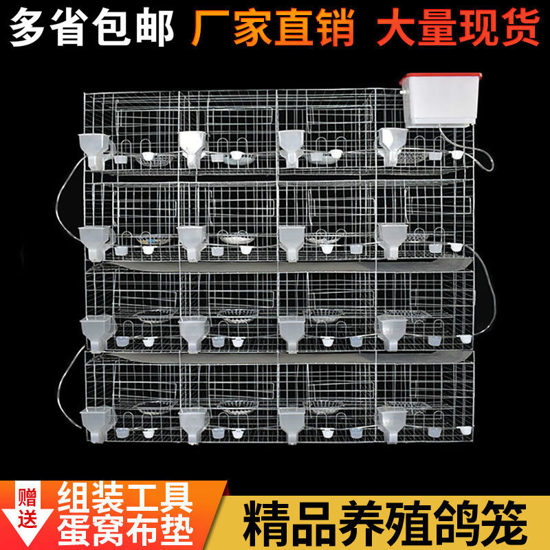 鸽子笼家用特大号鸽子笼子繁殖配对养殖笼肉种鸽元宝养鸽子专用笼