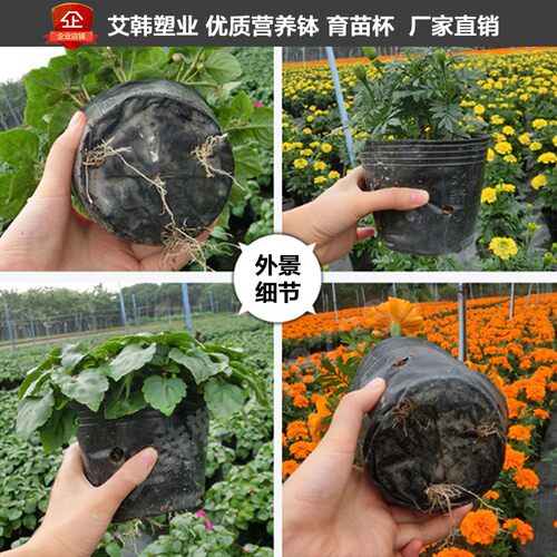 营养钵大棚塑料育苗杯农用天麻花盆黑色育苗袋加厚绿植养花种植袋