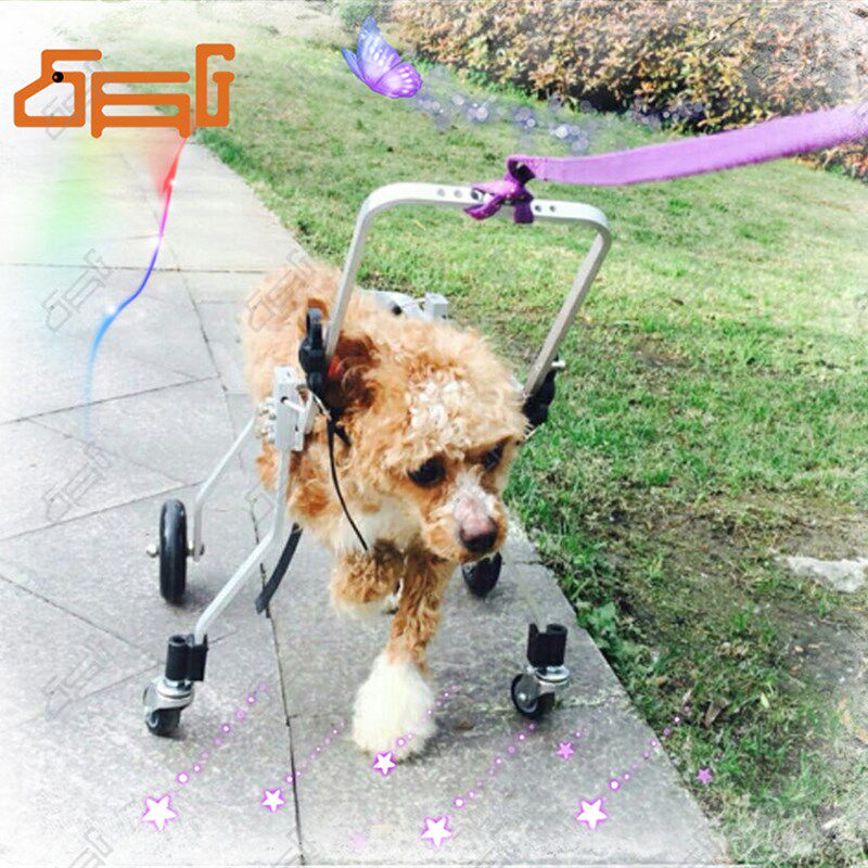 狗轮椅四肢瘫痪宠物代步车小型犬四轮残疾车全身四轮助行车狗担架