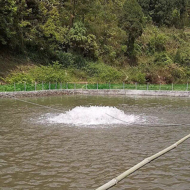 涌浪大功率增氧造浪泵380v三相220v大型水产养殖叶轮式鱼塘增氧机