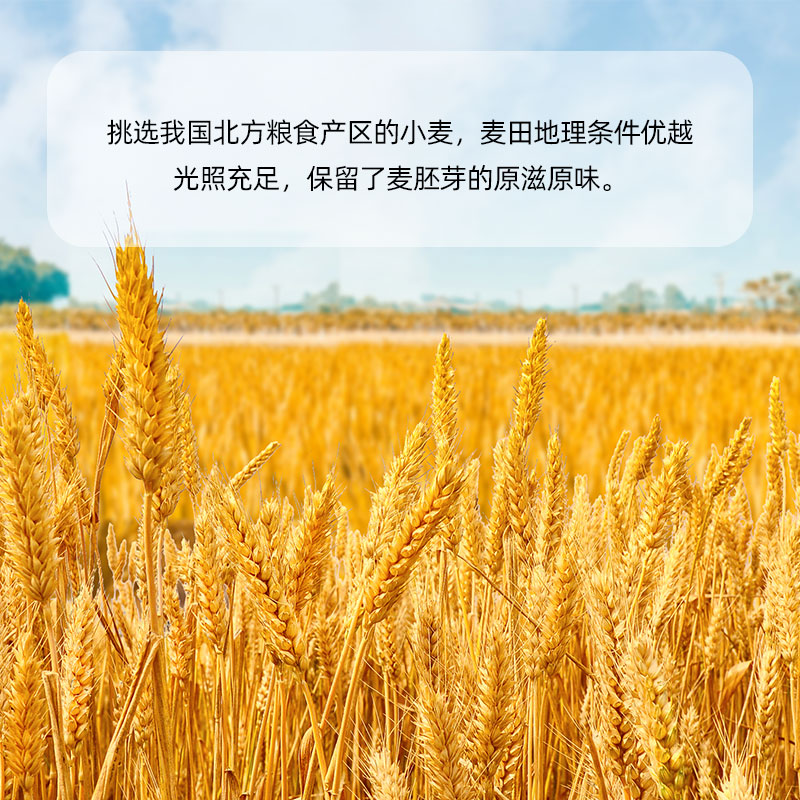 主粮伴侣仓鼠零食小麦胚芽补充精力金丝熊配粮辅食小宠物营养用品图片
