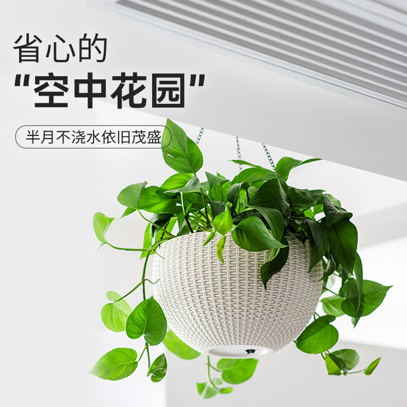 吊盆悬挂式吊篮蓝兰花盆自动吸水室内外大口径绿萝箩盆绿植挂钩盆图片