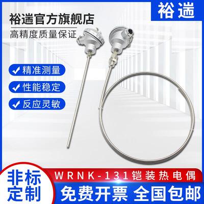 WZPK2-131 136  138 331双支铠装热电偶/热电阻四线制六线制PT100