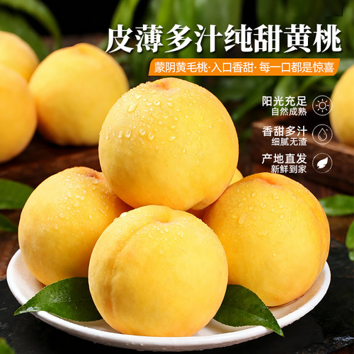 蒙阴黄毛桃新鲜水果当季蜜桃脆甜爽口现摘现发老少皆宜超甜黄毛桃