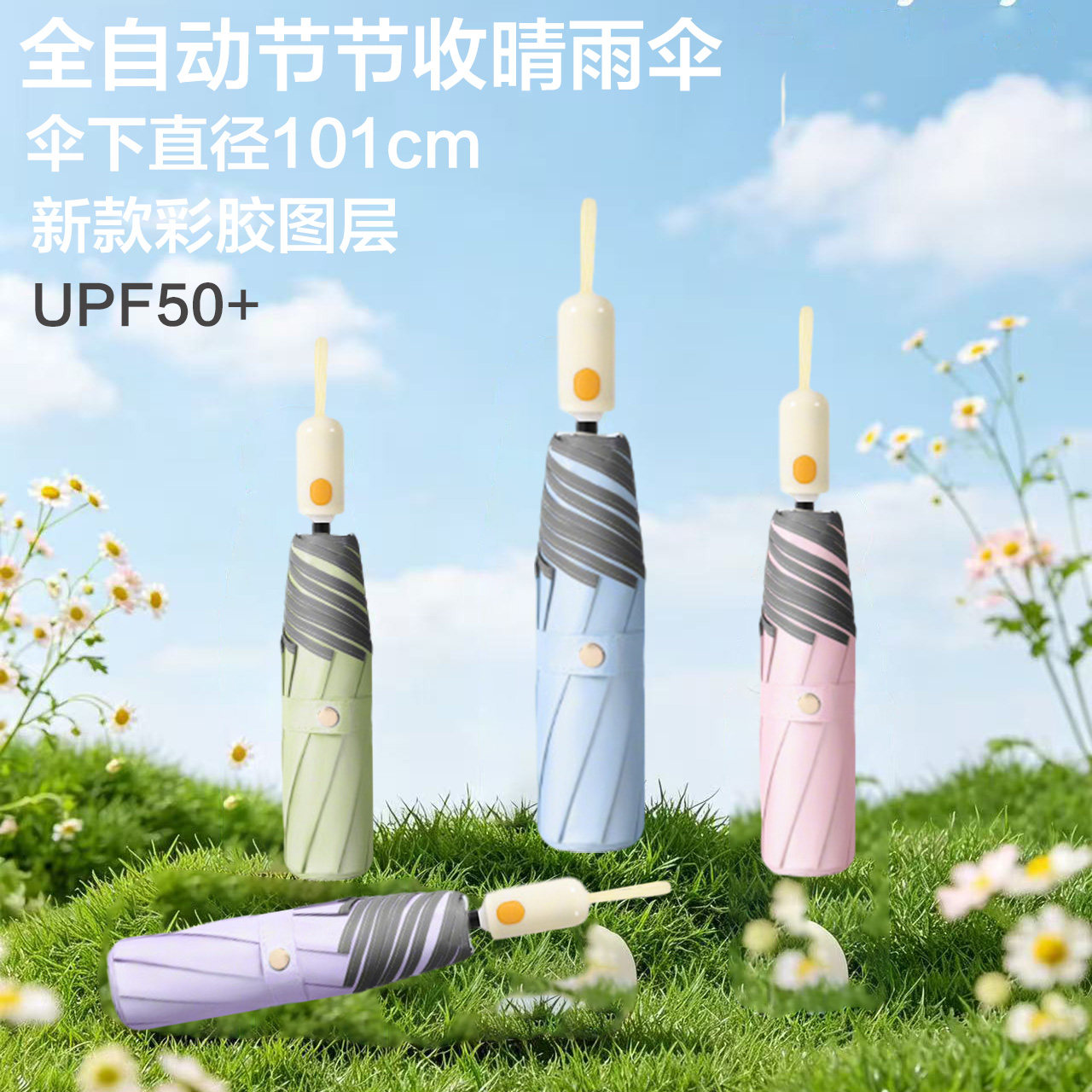 两只河狸全自动防晒晴雨伞图片