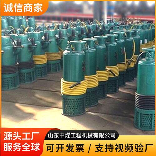 2.2KWBQS防爆潜水泵隔爆潜水泵井下积水快速抽排防爆浸水取水设备