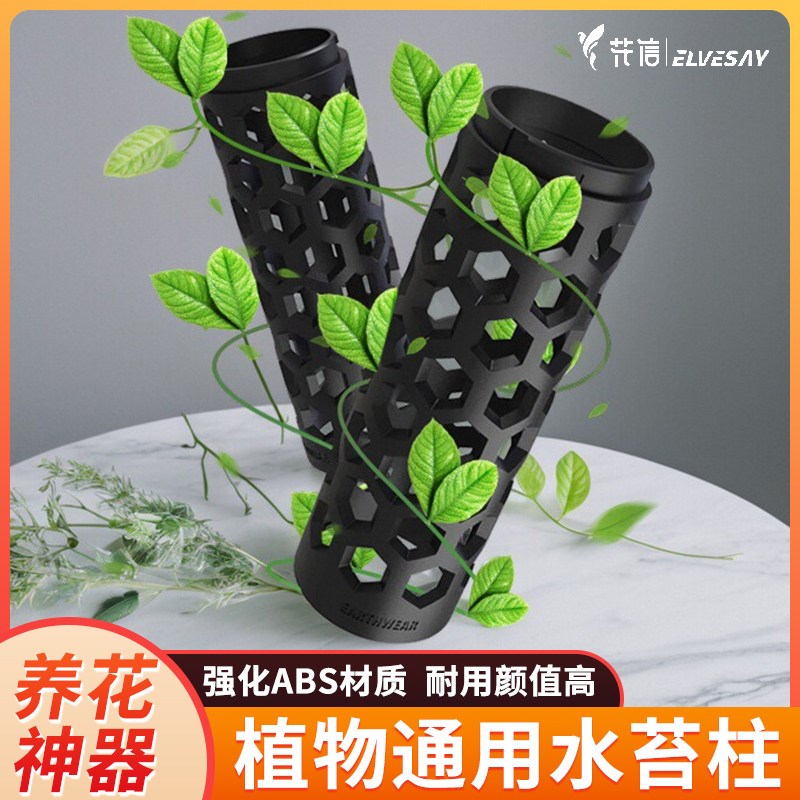 花信水苔柱龟背芋热植蔓绿绒附生兰花通用爬藤柱简约设计感实用图片