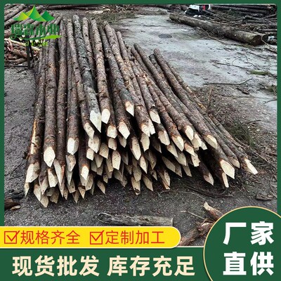 新款直发松木桩建筑工地河道加固打桩原木景观围栏装饰23456