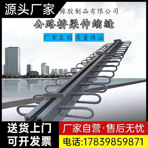 桥梁伸缩缝GQF-CDEF406080160型胶条橡胶止水带厂家