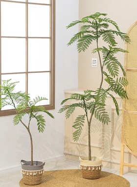 蓝色的花楹彷真绿色植物高端轻奢室内客厅盆栽装饰花彷生植物大型