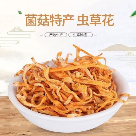 虫草花新鲜干货煲汤炖汤首选