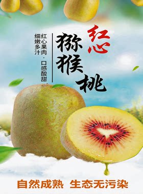 ※蒲江红心猕猴桃现摘现发当季水果陕西徐香猕猴桃