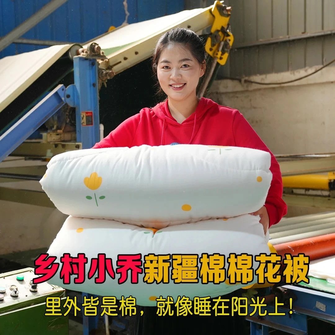 乡村小乔新疆棉花被子被芯棉被冬被加厚保暖被芯棉絮学生宿舍棉被