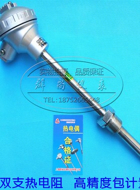 WZP2-230/WZP2-231/双支PT100铂热电阻/传感器/固定螺纹热电偶