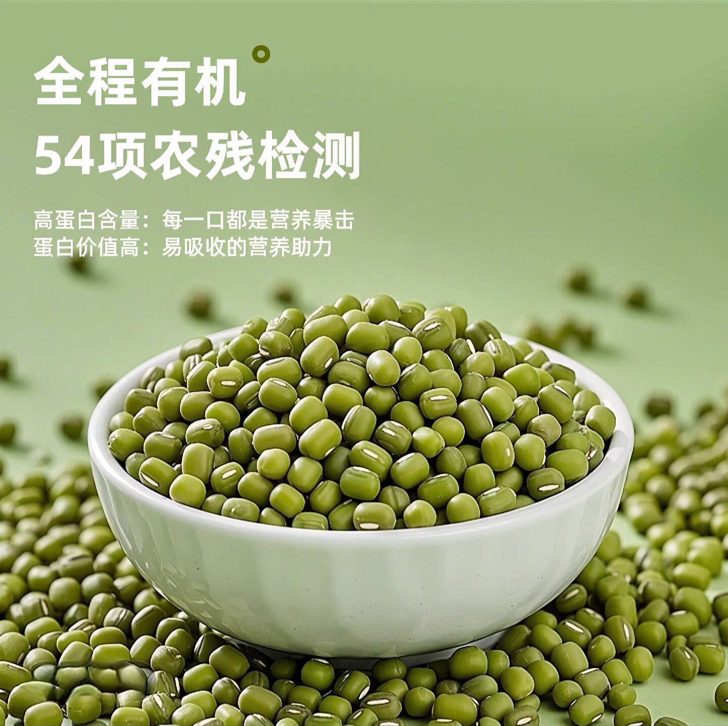 鑫鸿禾双有机绿豆可发芽大颗粒