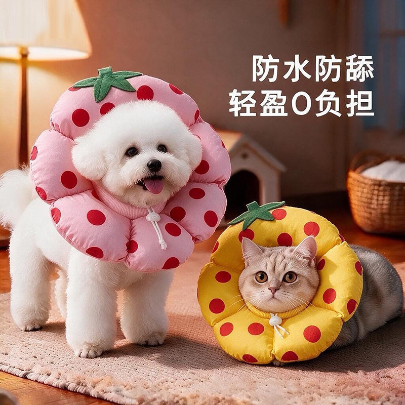 伊丽莎白圈猫咪绝育软头套幼猫防舔防咬防水项圈宠物狗脖圈猫围脖