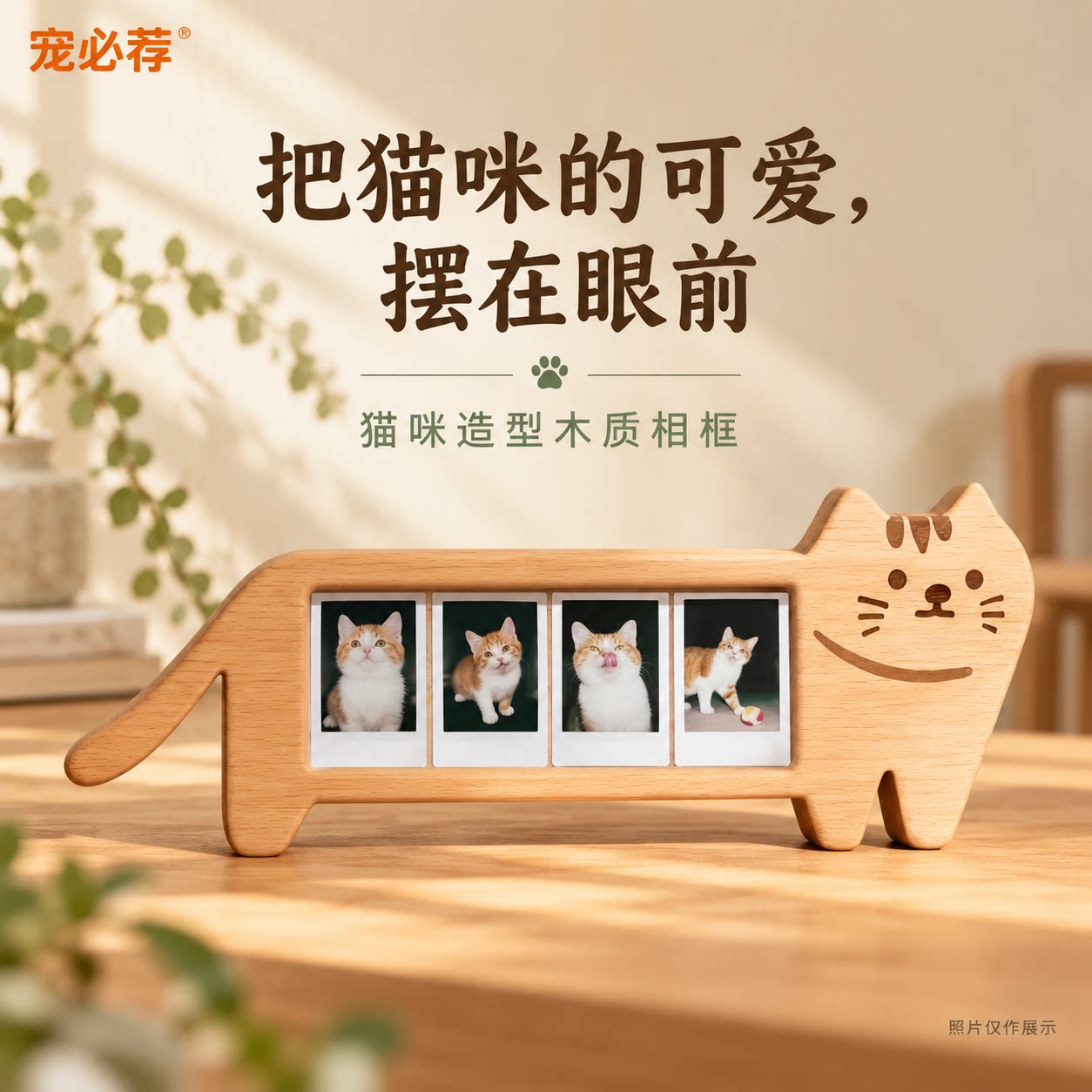 宠必荐可爱小猫木质相框
