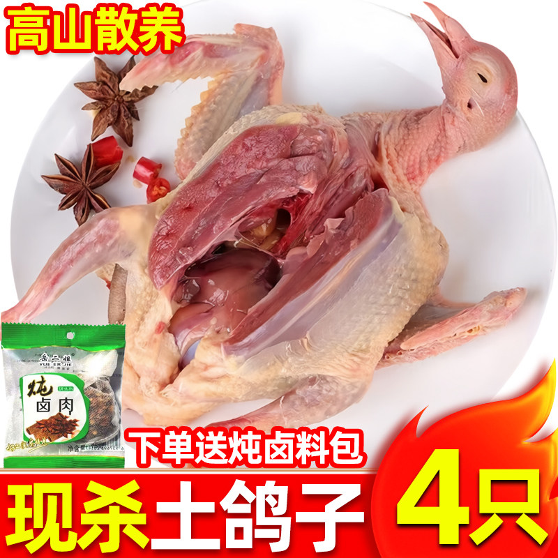 大号鸽子土鸽农家散养新鲜乳鸽滋补炖汤鸽子肉原粮老鸽顺丰包邮