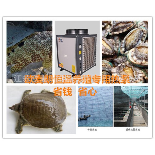 无锡工厂化恒温水产养殖空气能热水器 热泵养殖加温设备
