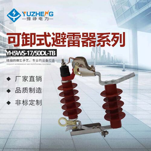 HY5WS-10/30DLTB热爆式脱离避雷器防浪涌