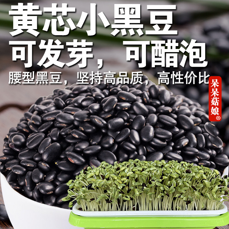 【直播专属】发芽黑豆5斤黄芯小黑豆芽苗菜专用绿豆芽打豆浆新货