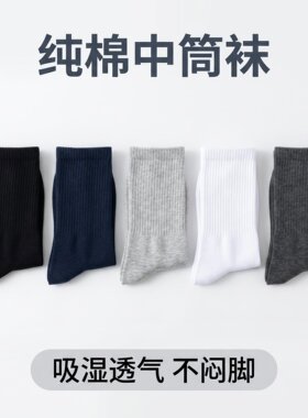 纯棉袜子男士中筒春秋商务袜透气男人皮鞋纯黑色正装休闲运动长袜