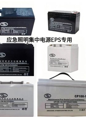 WONISITE消防主机蓄电池A型