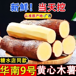 新鲜当季正宗广西黄心木薯华南9号糖水店同款农家种植现挖现发