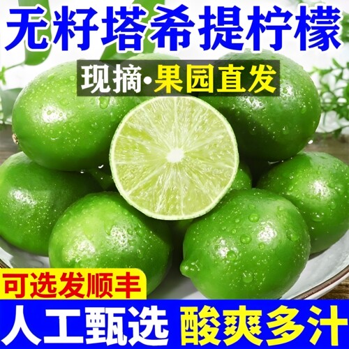 塔希提无籽青柠檬奶茶店专用