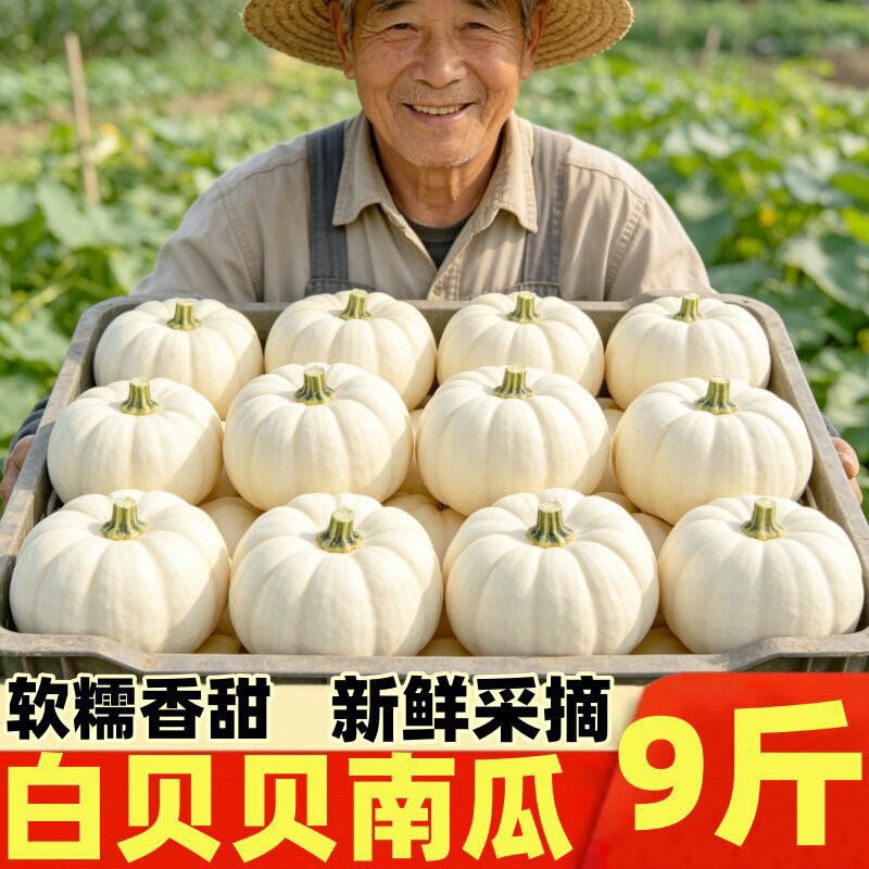 正宗现摘奶油贝贝南瓜软糯甜辅食