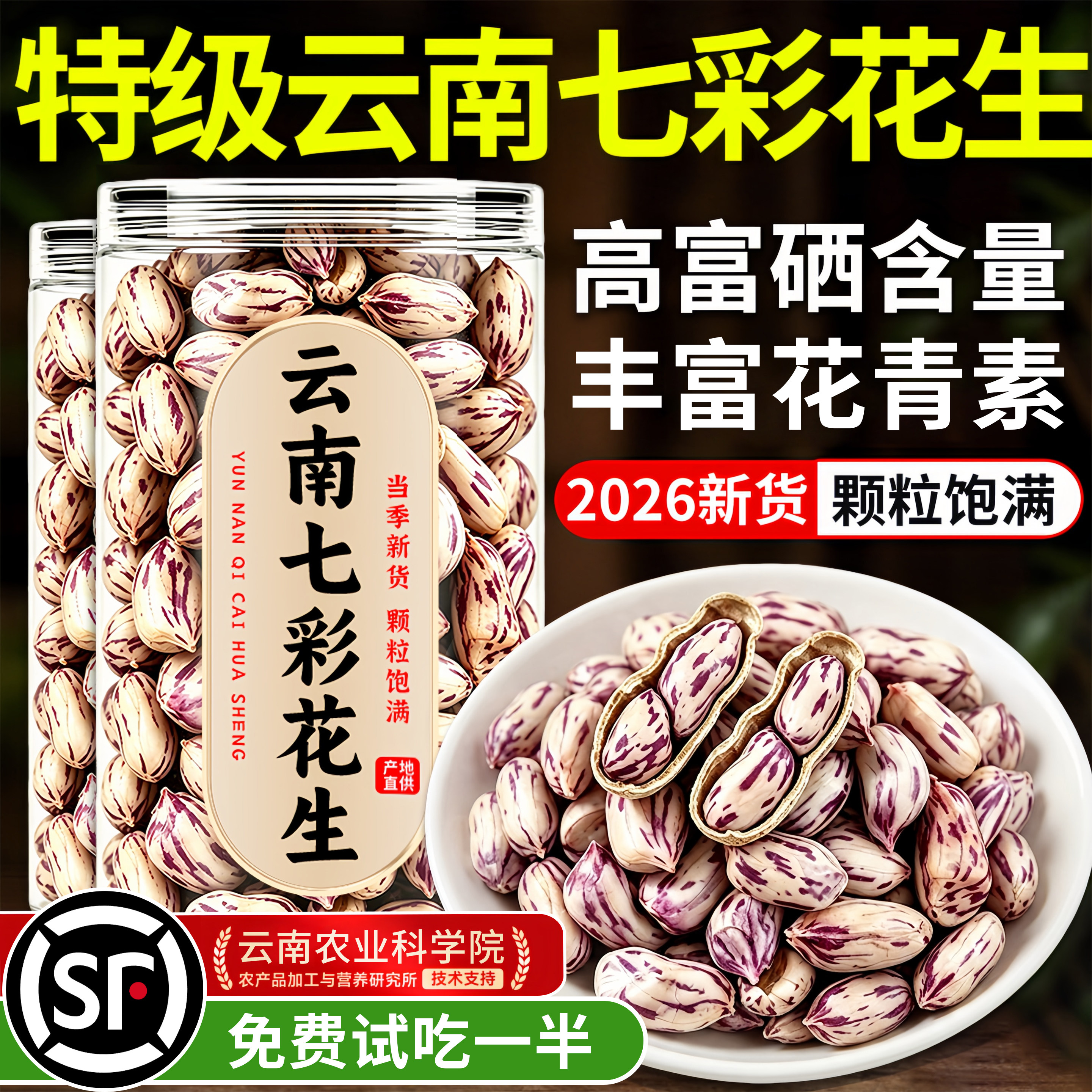 七彩花生云南官方旗舰店普洱特产咸干花生新鲜带壳2026新货花生米