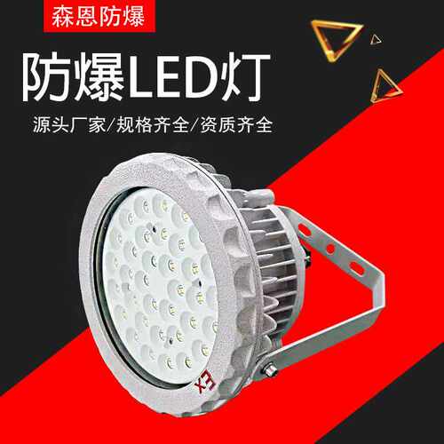 LED防爆灯仓库加油站化车间泛光投光灯30-200W防爆灯圆形隔爆